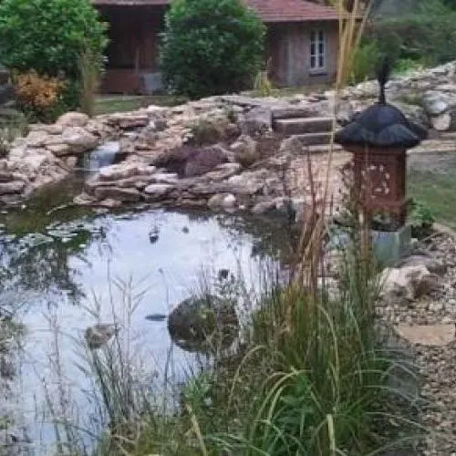 photos de marc raveau (14)