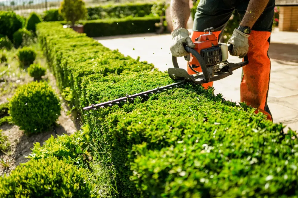 entretien espaces verts près de Mervans